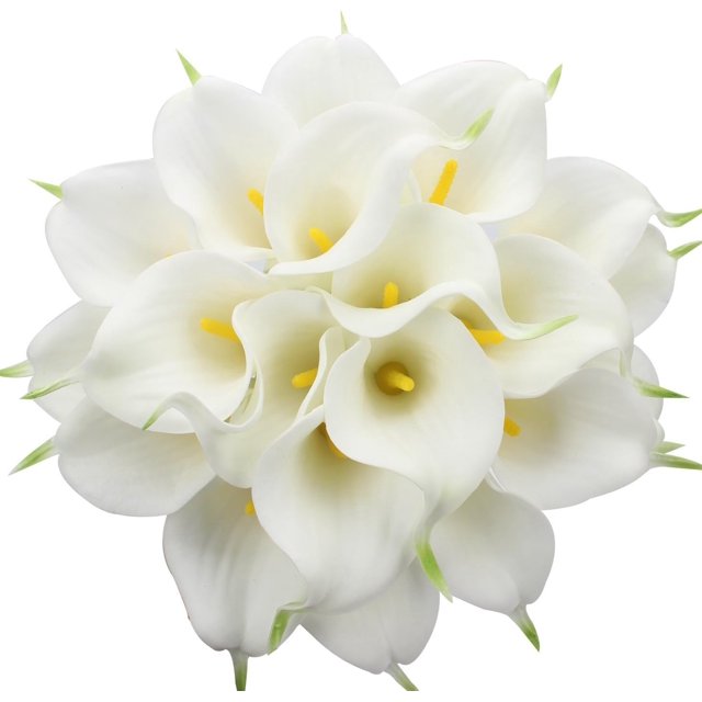 POWKOL 20 flores artificiales de cala, flores de látex de tacto real, para ramos de boda, fiestas y decoración del hogar (blanco)