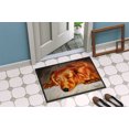 thumbnail image 2 of Carolines Treasures AMB1202MAT Tapis Intérieur Ou Extérieur Rouge Longhaired Dachshund - 18 x 27, 2 of 4