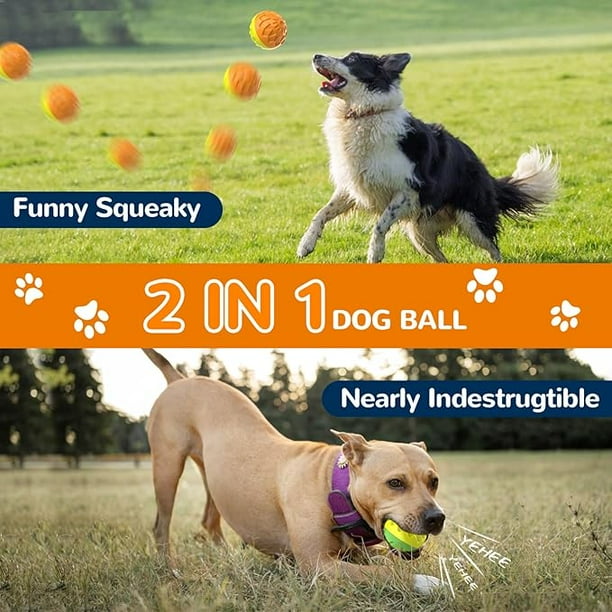 Huge dog balls hot sale