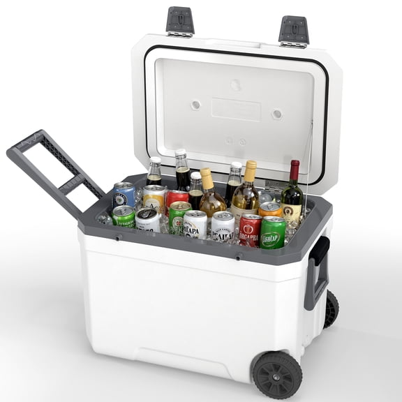 45L Insulated Portable Cooler Box,Hard Sided Shell Wheeled Rolling Ice Chest with Handle,for Outdoor Camping Travel Car