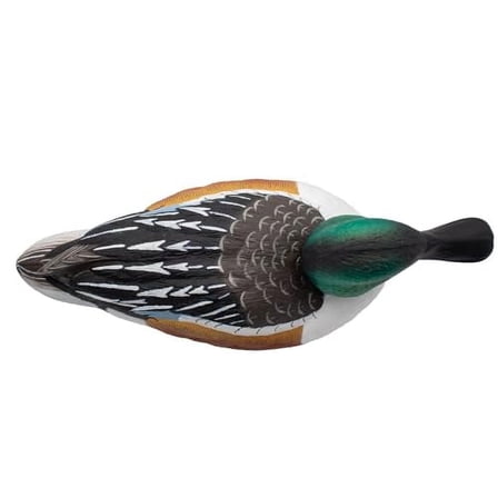 Final Approach Live Floating Northern Shovelers, Decoy 6 Pack in Green