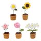 thumbnail image 1 of Kit Arranque Crochet Plantas 5 Piezas Bricolaje (girasol Y Rosa), 1 of 9