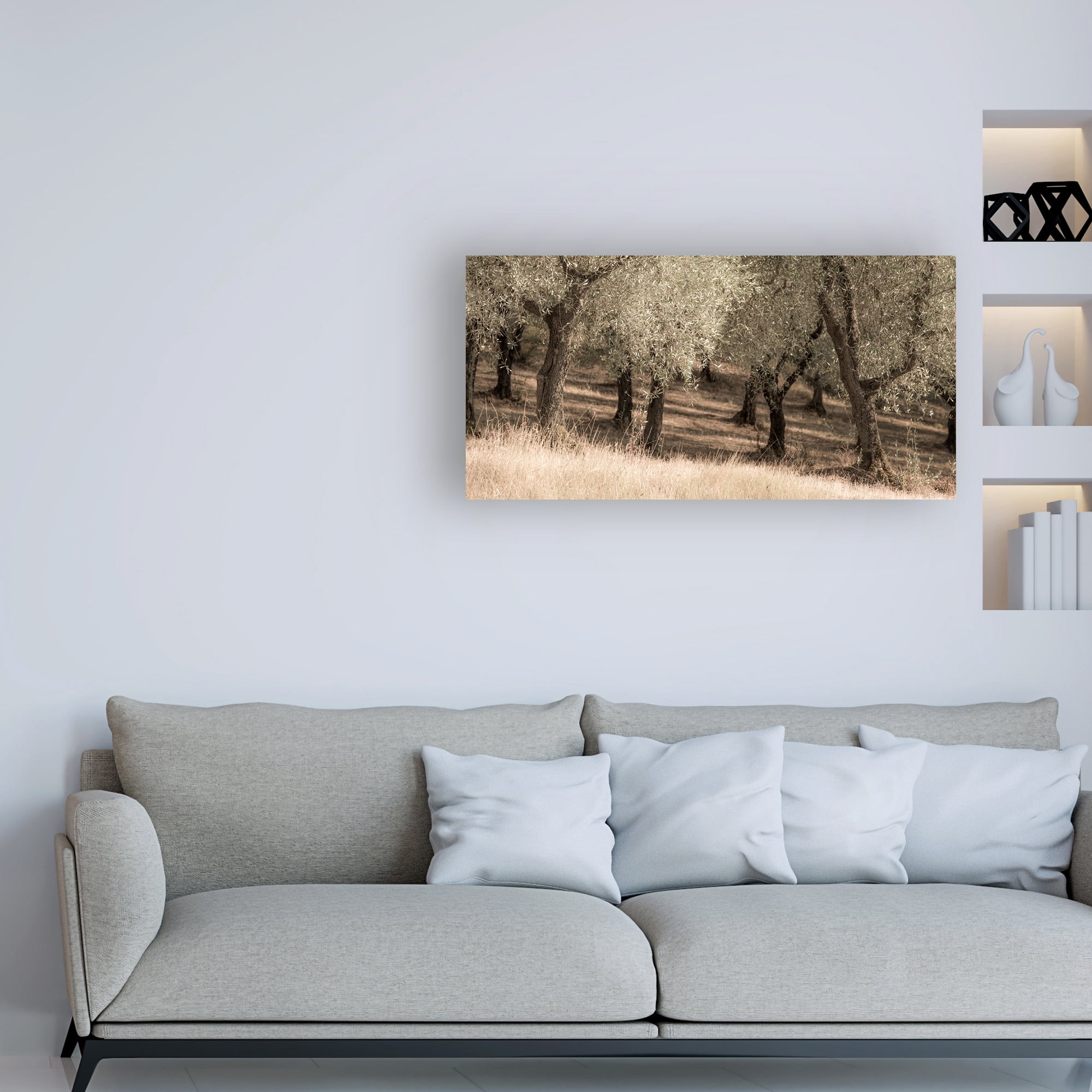 Trademark Fine Art 'Olive Trees Tall Grass' Canvas Art by Dan Ballard