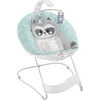 Fisher-Price Baby Raccoon See & Soothe Deluxe Bouncer Infant Seat