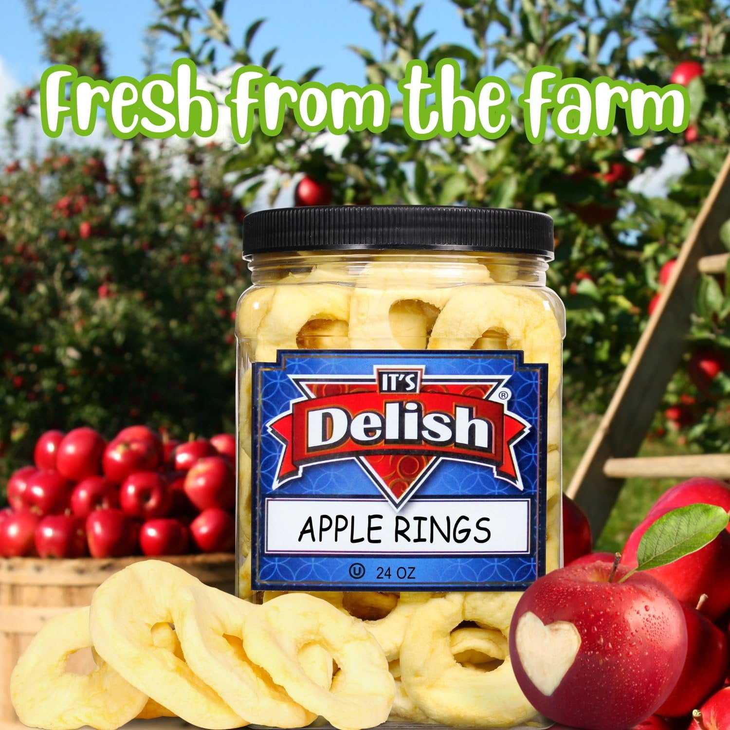 Dried Apple Rings by Its Delish, 24 OZ Jumbo Container  Soft Moist Apple Rings - No Sugar Added  Unsweetened Dried Apples Slices Fruit Snacks  Vegan, Kosher