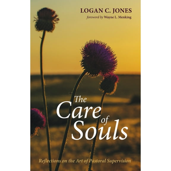 The Care of Souls: Reflections on the Art of Pastoral Supervision, (Hardcover)