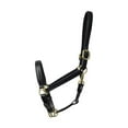 thumbnail image 1 of Coldstream Leather Padded Head Collar, 1 of 1