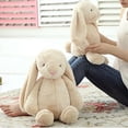 thumbnail image 3 of Juguete de peluche Lovely Bunny Velveteen Rabbit para niños, 3 of 4