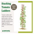 Gardeners Supply Company Stacking Tomato Ladders Support Stakes Heavy