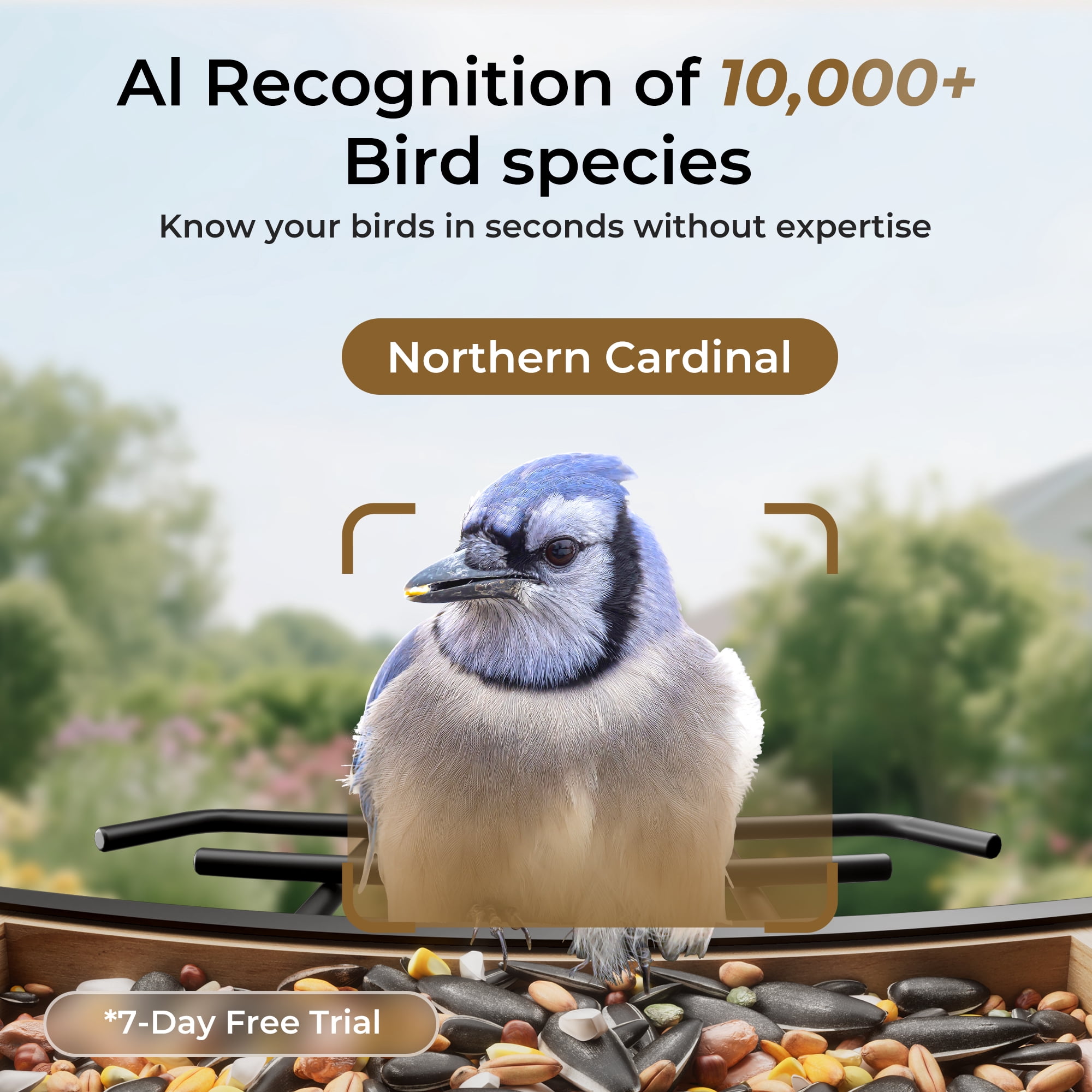 TT Nature Smart Bird Feeder with Camera Solar Powered, AI Identify 10000+ Birds, Weatherproof , Eco-friendly Wooden, Ideal Gift for Bird Lovers