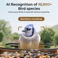 thumbnail image 3 of TT Nature Smart Bird Feeder with Camera Solar Powered, AI Identify 10000+ Birds, Weatherproof , Eco-friendly Wooden, Ideal Gift for Bird Lovers, 3 of 10