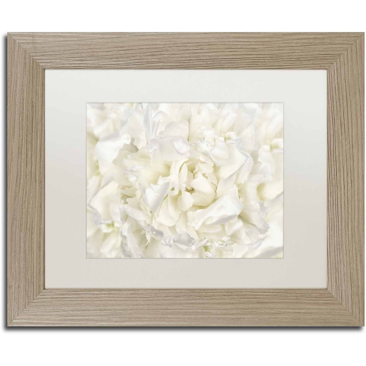 Trademark Fine Art 'White Peony Flower' Canvas Art by Cora Niele, White ...