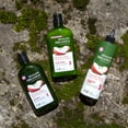 thumbnail image 5 of Avalon Organics Smooth Shine Apple Cider Vinegar Shampoo, 11 fl oz, 5 of 6