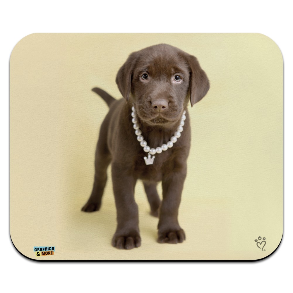 Chocolate Lab Labrador Puppy Dog Crown Necklace Low Profile Thin Mouse Pad Mousepad Walmart Com Chocolate Lab Labrador Puppy Dog Crown Necklace Low Profile Thin Mouse Pad Mousepad Walmart Com