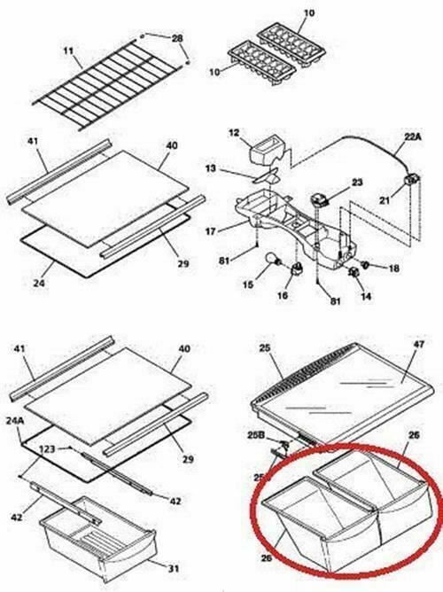Bottom Crisper Drawer for Frigidaire Refrigerator Model 2536480240E, Replacement Crisper Bin Compatible with Frigidaire Refrigerator 2536480240E
