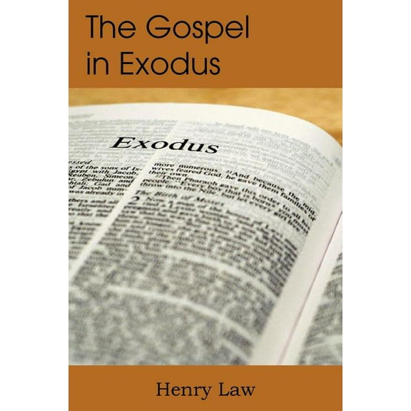 The Gospel in Exodus (Paperback)