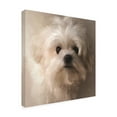 thumbnail image 3 of Trademark Fine Art Lois Bryan Maltese Puppy Portrait Canvas Wall Art - 24x24, 3 of 5
