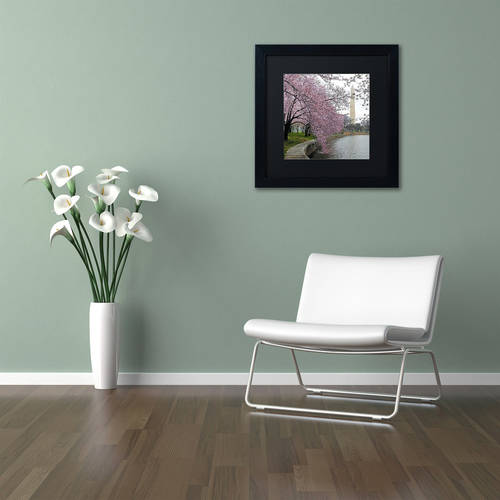 Trademark Fine Art "Washington Blossoms" Canvas Art by CATeyes, Black Matte, Black Frame