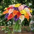 thumbnail image 5 of Lyacmy Colorful Calla Lily 36Pcs Artificial Flowers, 14 inch PU Real Touch Silk Flower Bouquet for Wedding Table Centerpiece Home Decoration, 5 of 10
