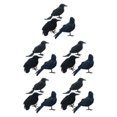 thumbnail image 3 of Shengyu Halloween Party Decoration - Clear Texture And Festive Ambiance Simulation Crow three-piece 5Set, 3 of 6