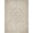 Beige Ivory, Pattern 4, variant on ODIKA Beige Neutral Vintage Faded Tracery Ornamental Border Dining Non-Slip Flatwoven for Living Room, Under Sectional, Family