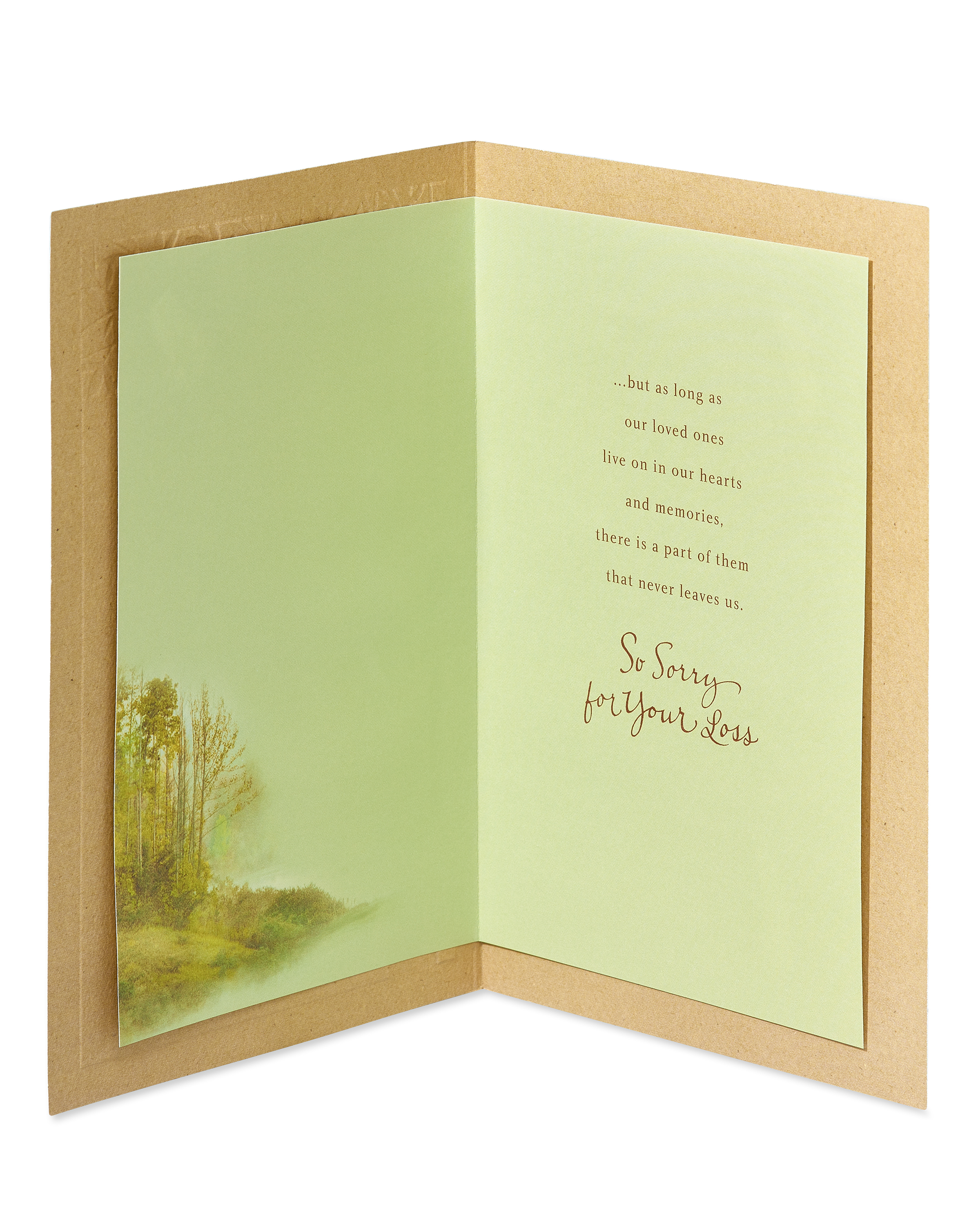 Regal Publishing Sympathie-Karte Für Den Verlust Des Vaters – Klassisches Design, 20,3 X 15,2 Cm