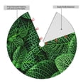 thumbnail image 2 of Lsque Natural Green Leaves Print Christmas Tree Skirt, Tree Skirt with Ties or Velcro, Perfect for Holiday Decorations, Halloween, and New Year-36", 2 of 7