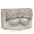 thumbnail image 1 of Jardinière Rectangulaire pour Lèvres, 1 of 2