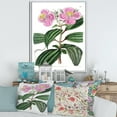 thumbnail image 3 of Designart Vintage Plant Life XXIII FLOAT FRAME WALL ART, 3 of 4