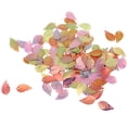 thumbnail image 2 of Bolsa De De Hojas Multicolor De 15g Para Accesorios De Bodas Sunnimix confeti de mesa hoja metálica, 2 of 8