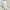 White, variant on Qulqfy Ripped Womens Jeans Skinny Petite Black High Waisted Comfort Casual Jeans Ladies Trousers L