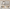 AB, variant on ionze Home Decor 5 Pcs Wall Art for Living Room Home Decorations for Living Room Pictures for Bedroom Wall Decorations Canvas Wall Art for Living Room Home Wall Home Accessories
