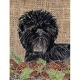 thumbnail image 1 of Carolines Treasures SS4100CHF 28 x 40 In. Affenpinscher Flag Canvas- House Size, 1 of 4