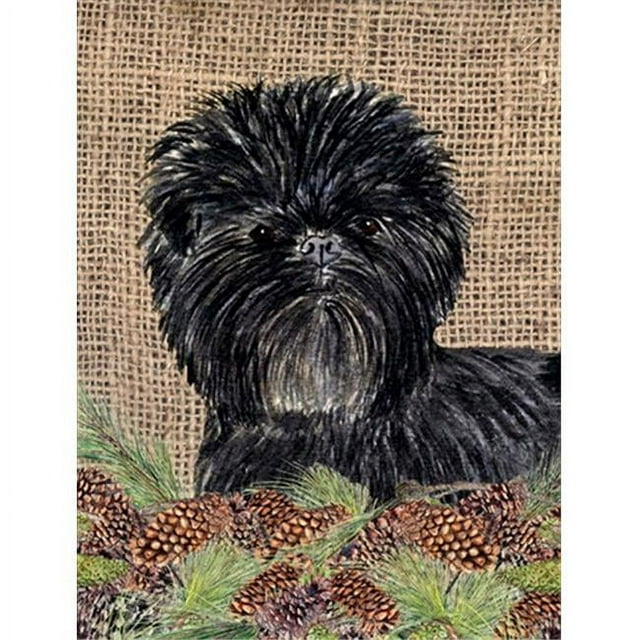 Carolines Treasures SS4100CHF 28 x 40 In. Affenpinscher Flag Canvas- House Size