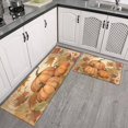 thumbnail image 3 of 2 Pieces Of Kitchen Rugs and Mats Non Skid Washable Fall (134) Kitchen Mat,Floor Cushion Waterproof Rug,Rubber Backed Area Rugs for Laundry 47*17+30*17, 3 of 7