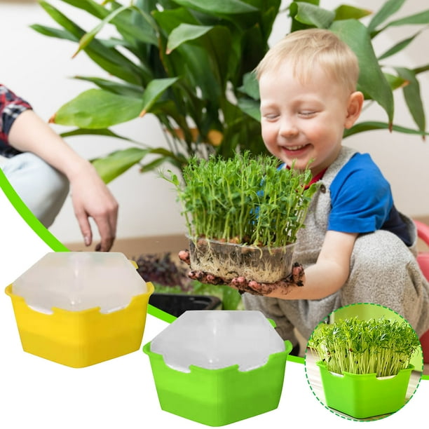 Bandeja para Germinar Semillas, Jardinera Hidropónica, Kit de Germinación de Semillas para Jardinería de Interior, Bandeja Permanente para Germinar Semillas Hidropónicas con Descuento.