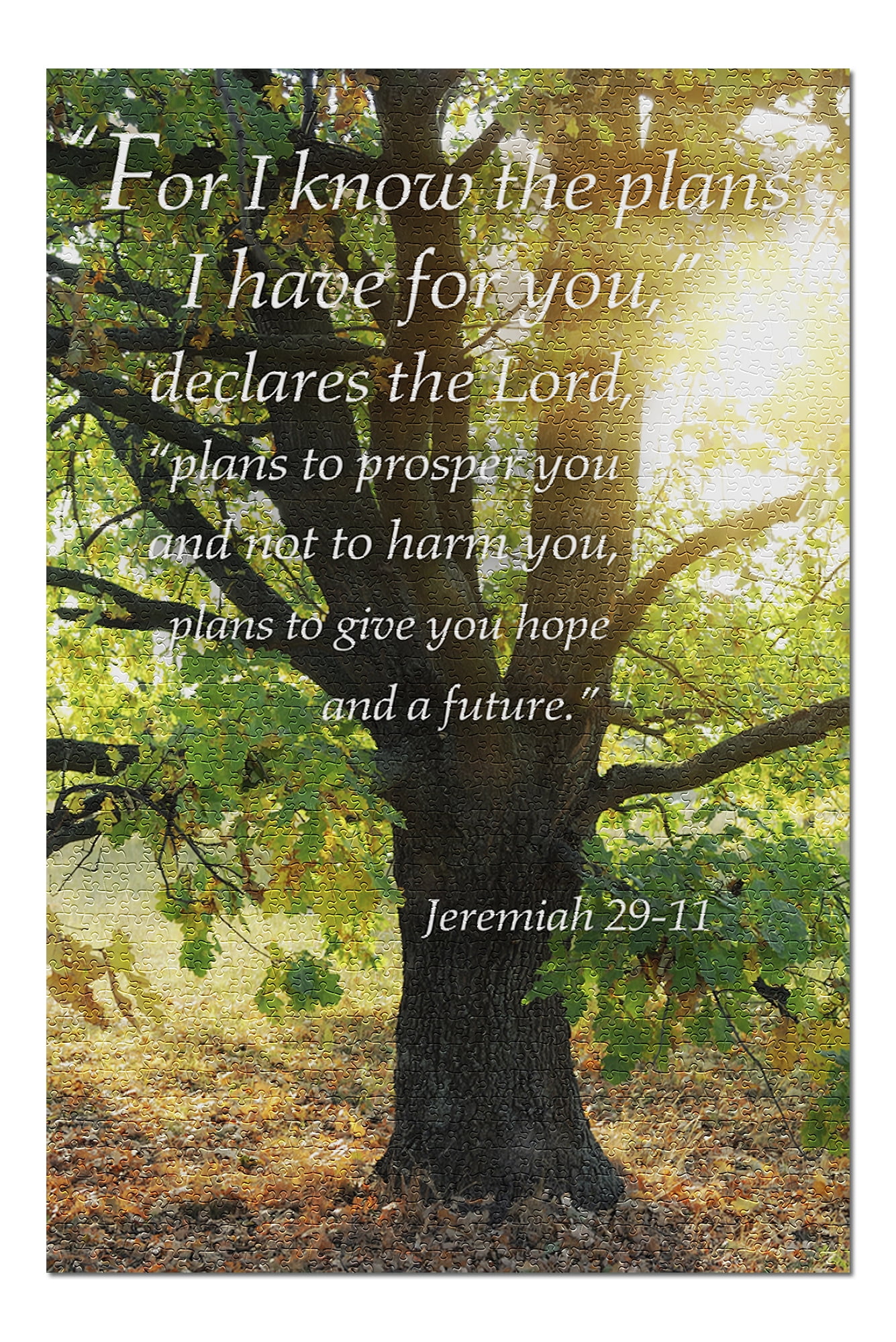 Jeremiah 29:11 - Inspirational (20x30 Premium 1000 Piece Jigsaw Puzzle