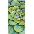 thumbnail image 3 of Plante Succulente Aquarelle - Toile 24"x48 Pouces - Impression à la Demande, 3 of 5
