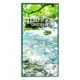 thumbnail image 5 of Lolita Lempicka Green Lover, 3.4 oz EDT Spray, 5 of 6