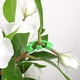 thumbnail image 2 of Paquete de 50 pinzas de cultivo de 90 grados, abrazaderas de crecimiento de plantas para Control de plantas de bajo estrés, color verde, 2 of 5