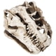 thumbnail image 4 of Cráneo de dinosaurio de resina con personalidad, adornos de esqueleto de Animal, accesorios, colección de Halloween, decoración artesanal, 4 of 14
