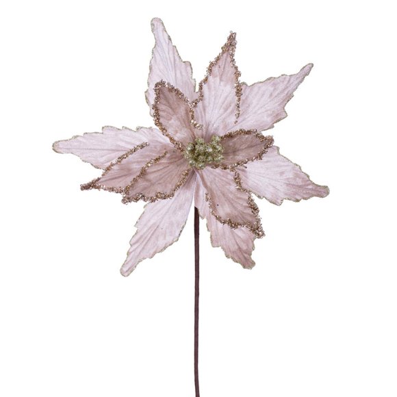21.5" Champagne Poinsettia 12" Flw 6/Bag