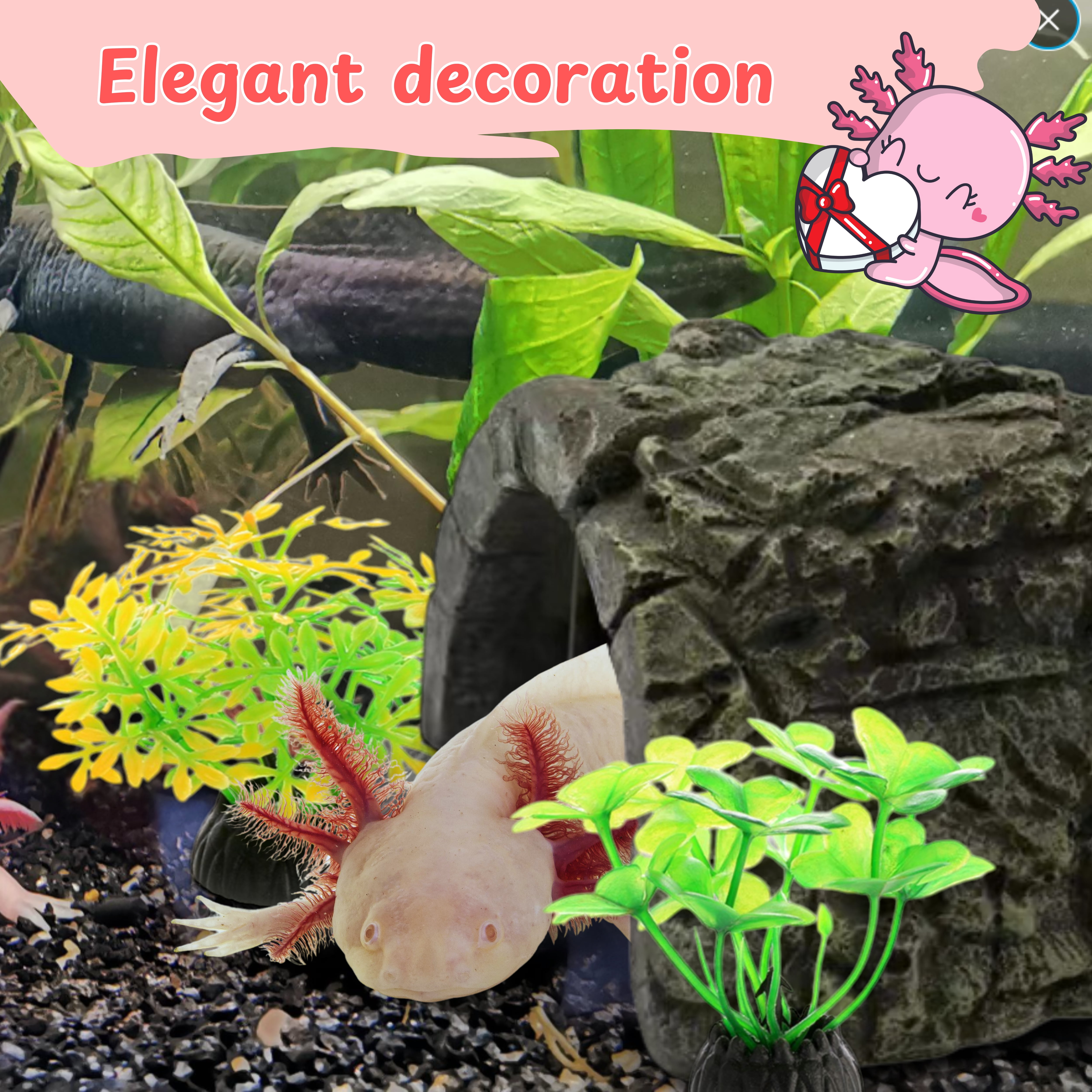 axolotl fish tank accessories Complete Starter Kit - 10 Gallon with Filter & Tank Decorations A Lotta
