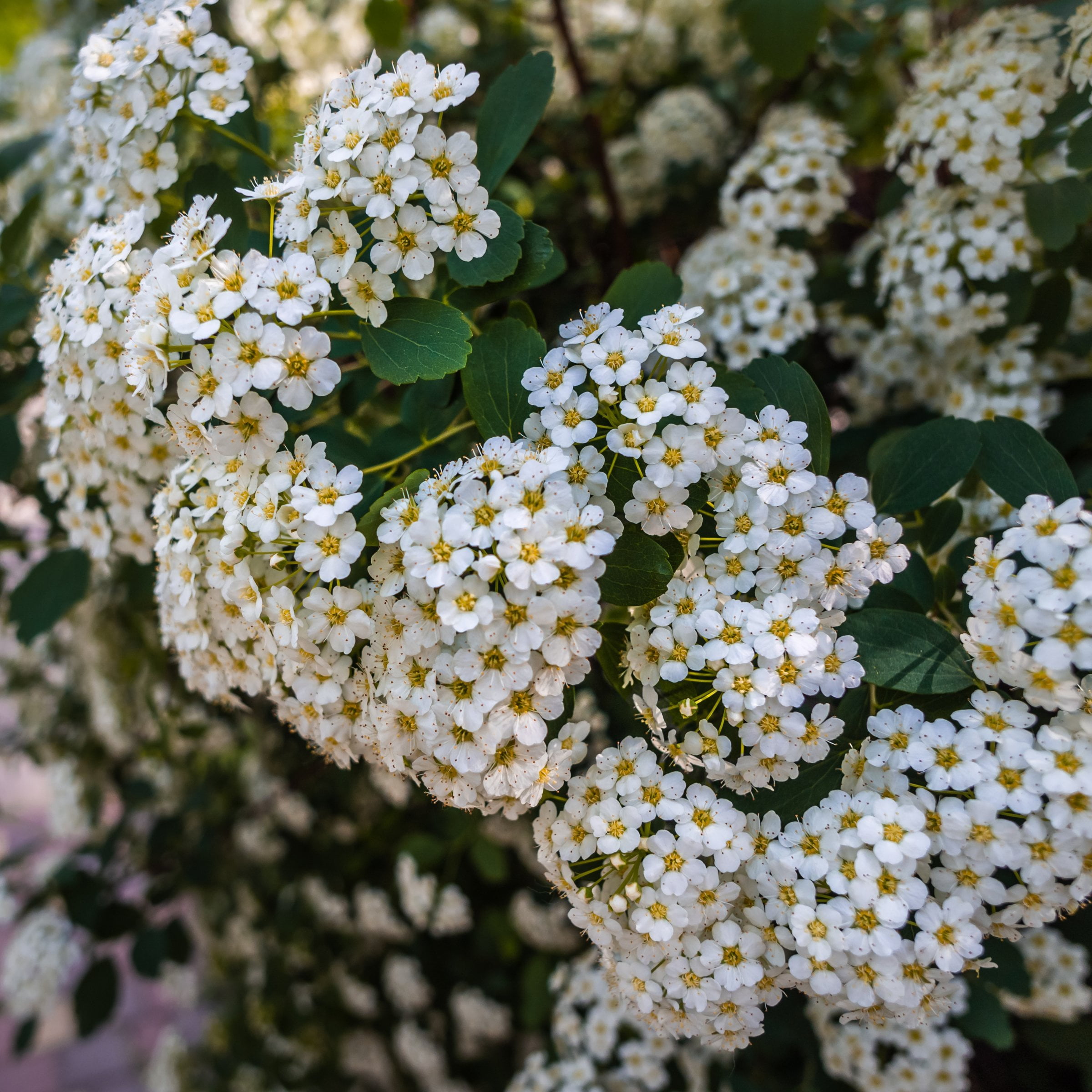 84b5e7a1-3319-43da-ba15-