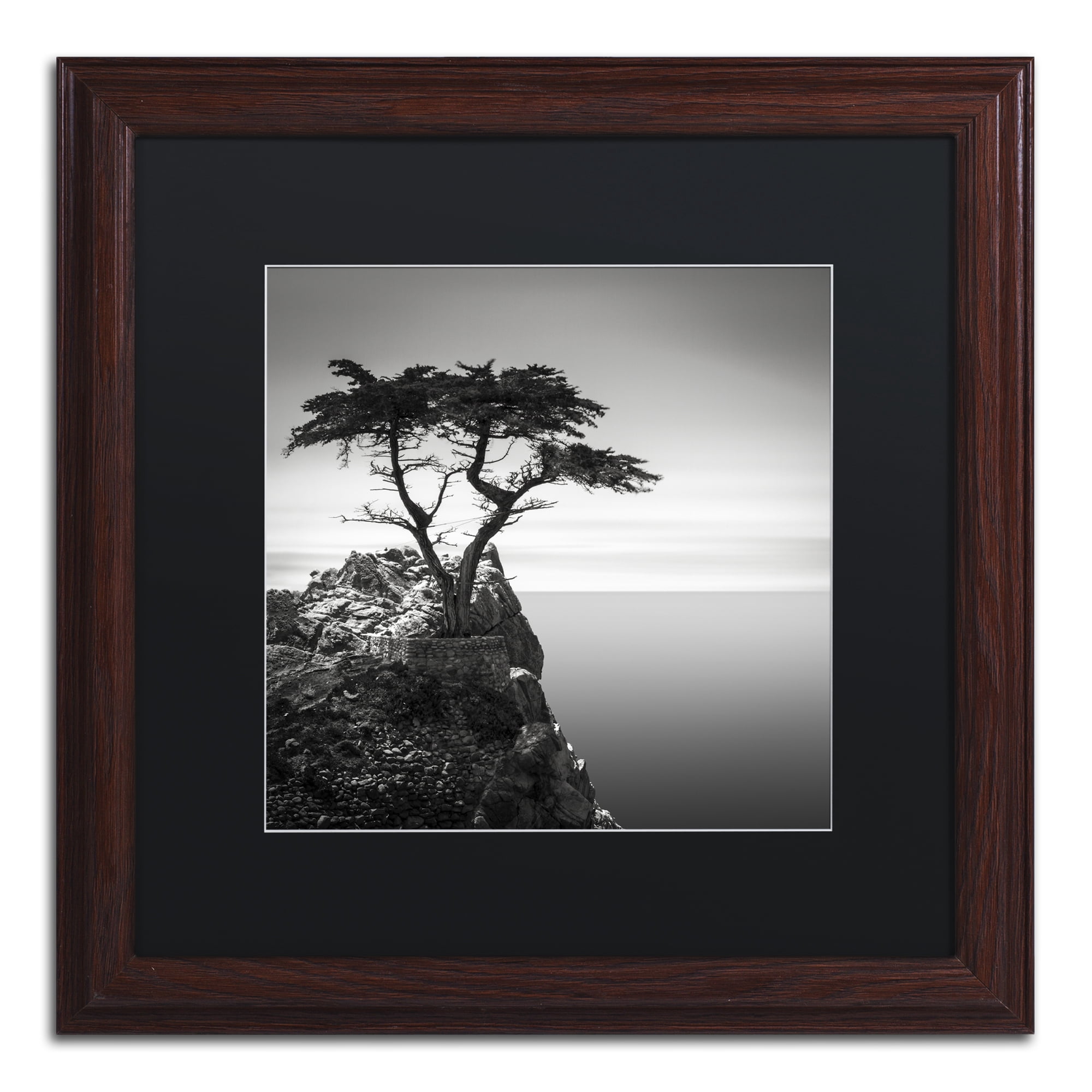 Dave MacVicar The Lone Cypress Matted Framed Wall Art