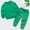 A126 Green, variant on Baby Toddler Crewneck Sweatshirts Long Sleeve Pullover Tops with Shoulder Snaps Solid Basic Shirts Playwear Active Fall Winter Warm Clothes for Infant Boys Girls