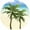Palm Trees, variant on Screen Door Magnets, Keep People and Pets from Running into a Screen Door – Robbins Aria - Palm Tree