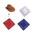thumbnail image 3 of PORCHA GOOSE COMPTER Halloween Cowboy Gat para césped al aire libre patio de la estatua 4pcs, 3 of 8