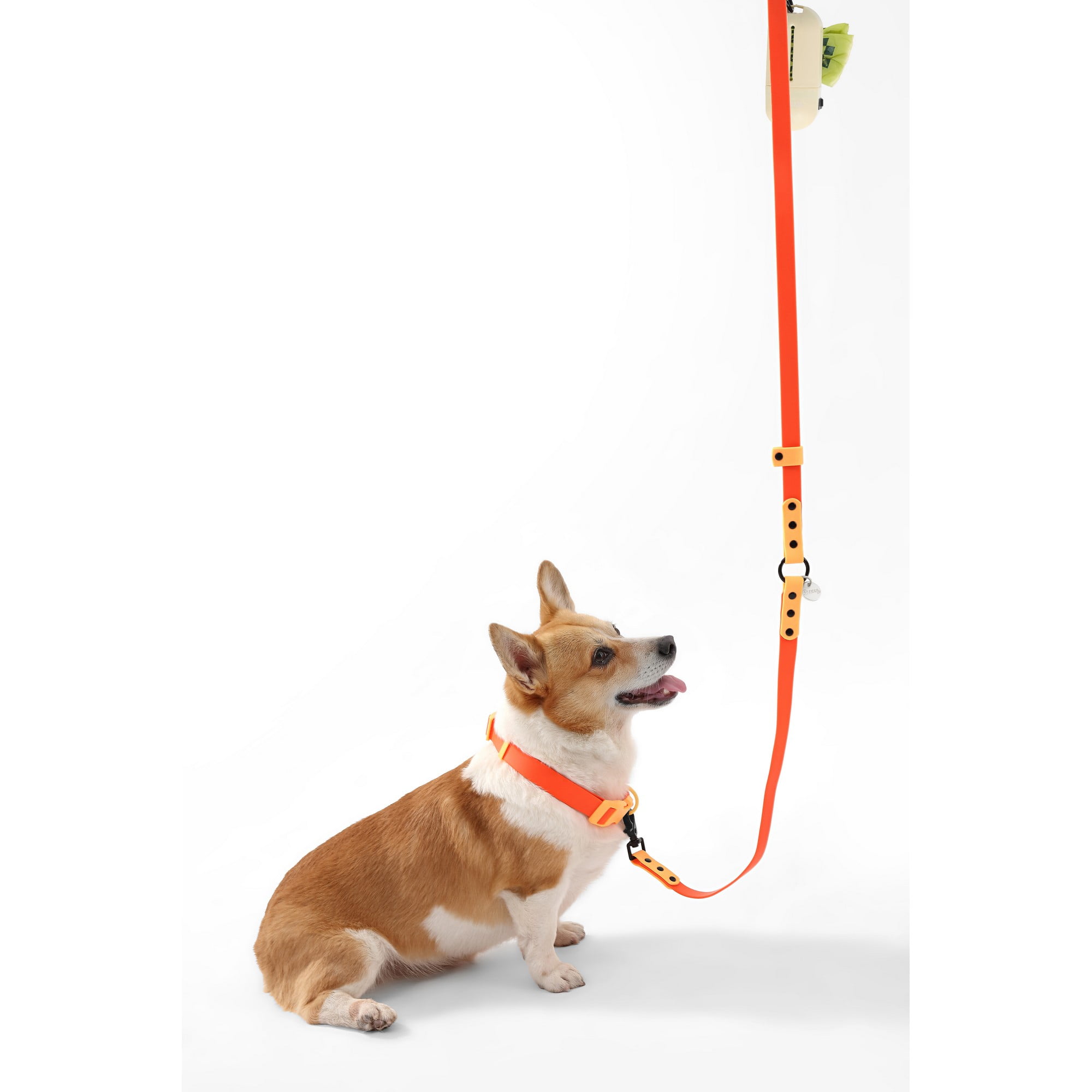 THE LICKER STORE Luna Medium 8FT Adjustable 6-in-1 Waterproof Hands-Free Leash and Collar with LED Flashlight, Bag Dispenser, and Poop Bag Holder, Dark Orange/Light Orange, WLK1005A-5SET