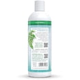 Auromere Ayurvedic Shampoo, Aloe Vera Neem Vegan, Cruelty Free, Non